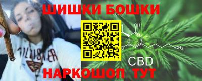 круглые Лесосибирск